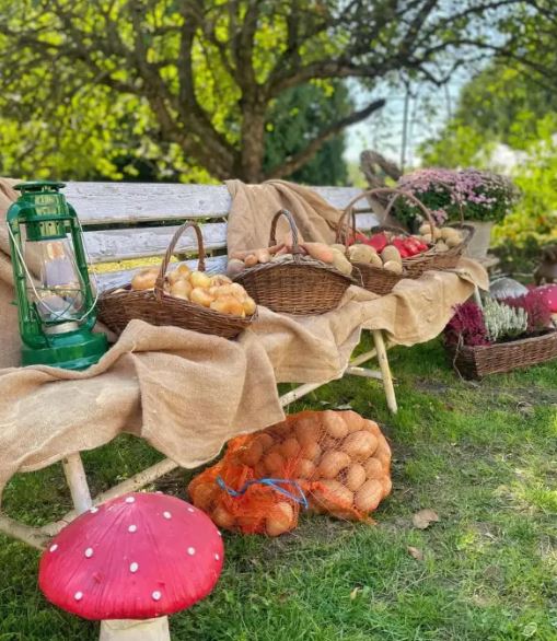 Ultimul Sfârșit De Săptămână Din „Festivalul Cartofului” La Palatul ...