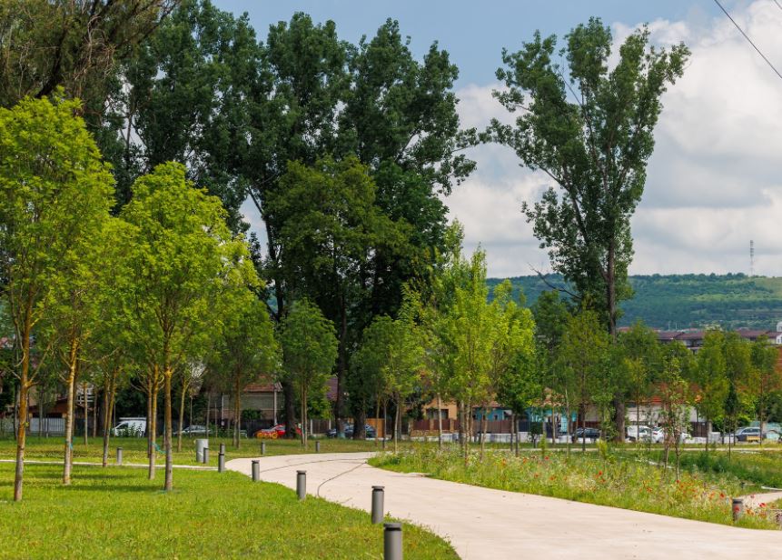 În urma lucrărilor de reamenajare a Parcului Armătura au fost plantați 205 arbori noi, pe lângă cei existenți. În total sunt peste 400 de arbori în noul parc din cartierul Iris