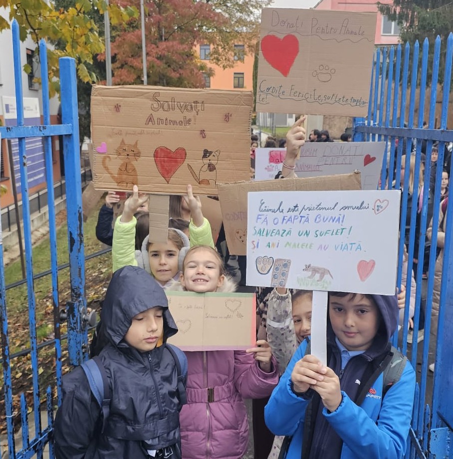 În cadrul Săptămânii Verzi, elevii școlii gimnaziale „Ion Creangă” au organizat cea de-a doua ediție a marșului caritabil „We walk for… Arca lui Noe! – Mergem pe jos pentru un blănos!”, o inițiativă prin care au îmbinat grija pentru natură cu dragostea față de ființele care au nevoie de noi. Foto: organizatorii evenimentului, Școala Gimnazială „Ion Creangă” Cluj-Napoca