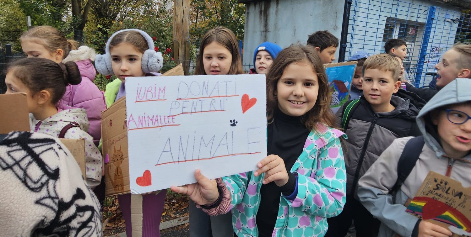 În cadrul Săptămânii Verzi, elevii școlii gimnaziale „Ion Creangă” au organizat cea de-a doua ediție a marșului caritabil „We walk for… Arca lui Noe! – Mergem pe jos pentru un blănos!”, o inițiativă prin care au îmbinat grija pentru natură cu dragostea față de ființele care au nevoie de noi. Foto: organizatorii evenimentului, Școala Gimnazială „Ion Creangă” Cluj-Napoca