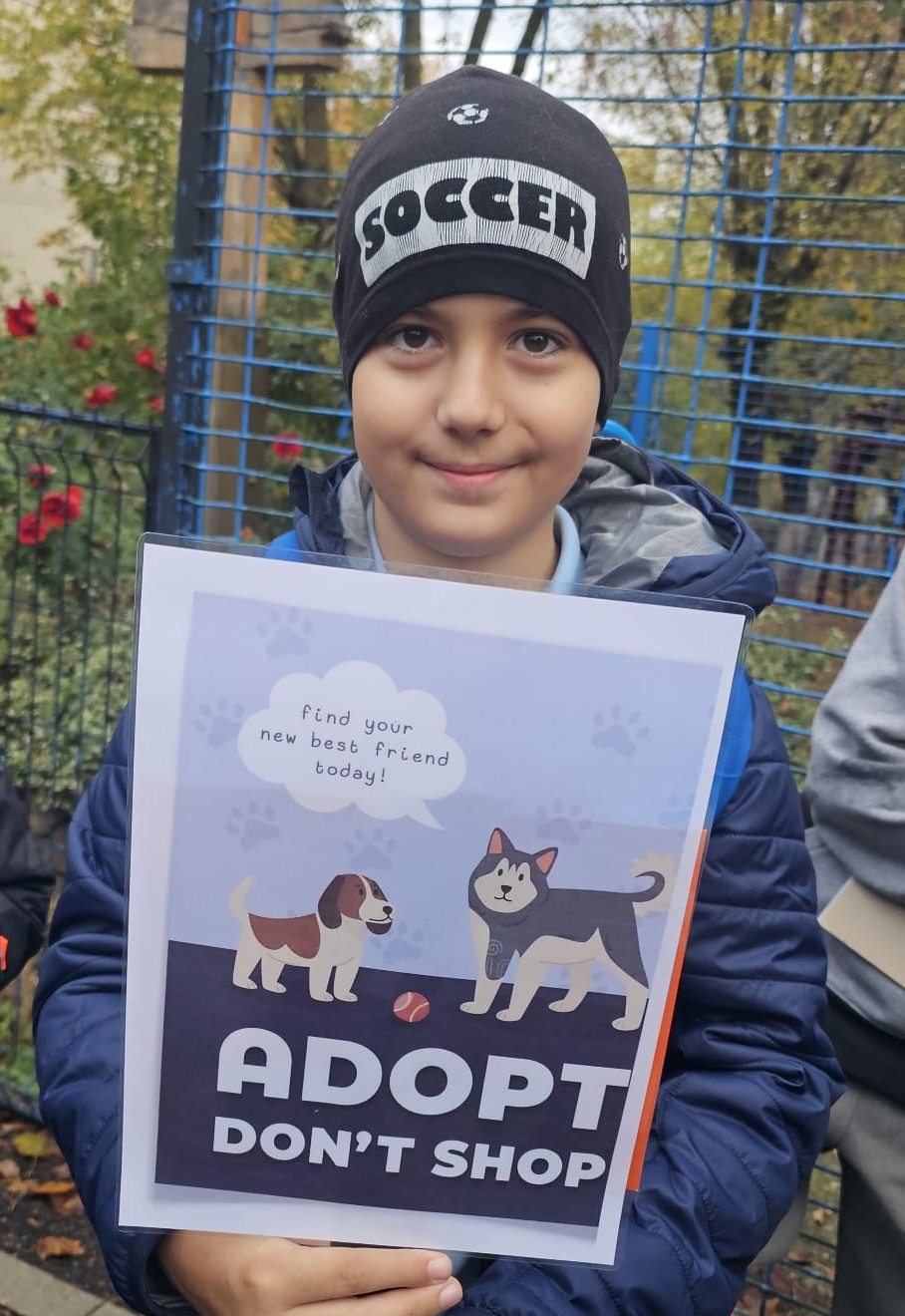 În cadrul Săptămânii Verzi, elevii școlii gimnaziale „Ion Creangă” au organizat cea de-a doua ediție a marșului caritabil „We walk for… Arca lui Noe! – Mergem pe jos pentru un blănos!”, o inițiativă prin care au îmbinat grija pentru natură cu dragostea față de ființele care au nevoie de noi. Foto: organizatorii evenimentului, Școala Gimnazială „Ion Creangă” Cluj-Napoca