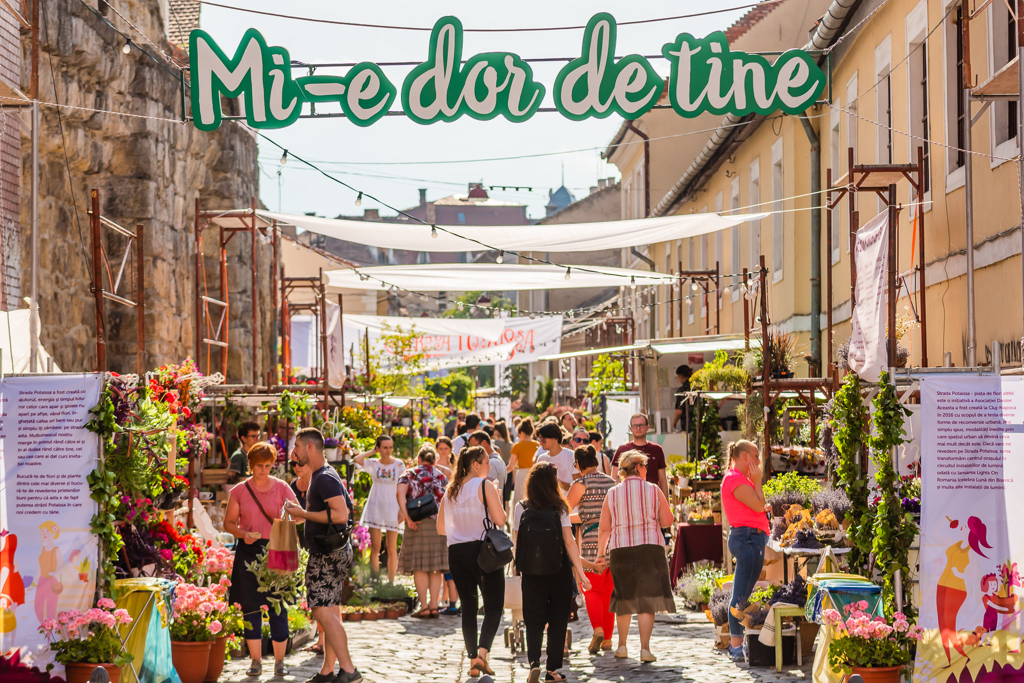 Cea mai atipică piață de flori din țară începe vineri! Strada Potaissa